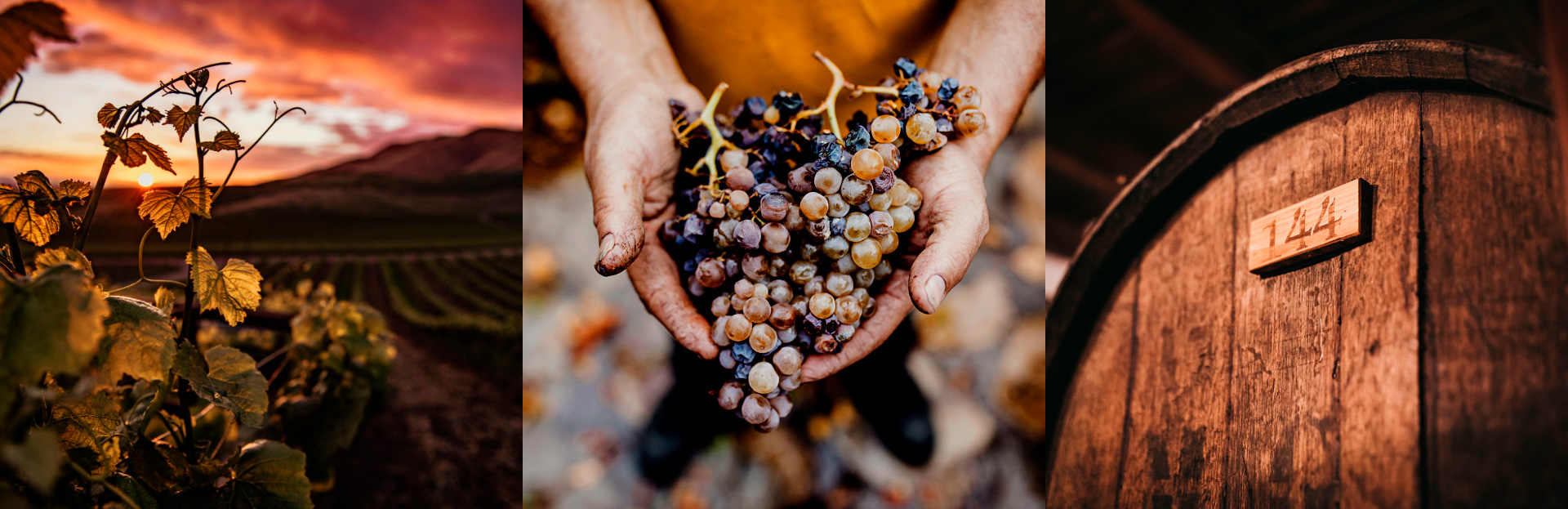Contexto: Parras, uvas y barricas