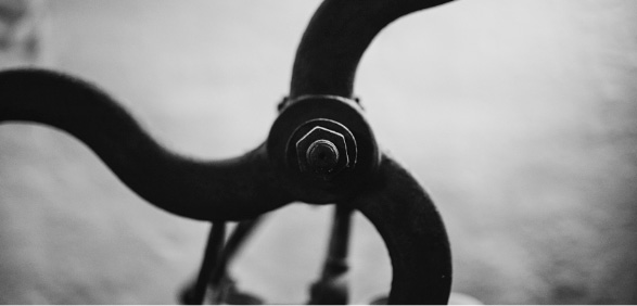 Elemento de la ilustración 2